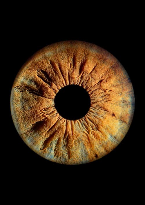iris photography pentru evenimente private iris potography