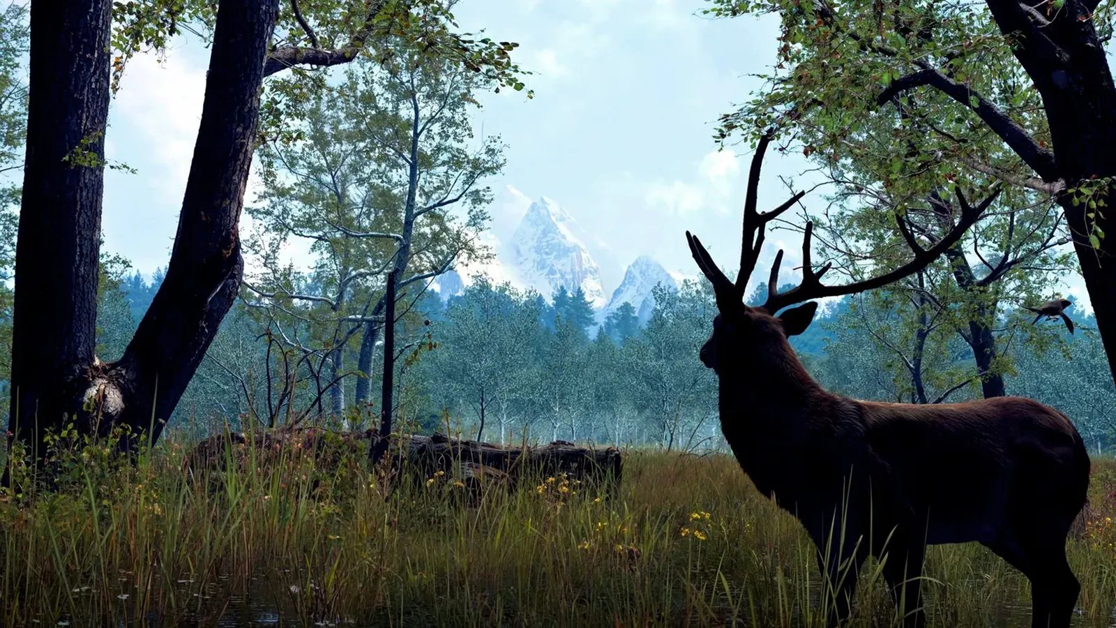 Nature Treks VR ruland pe headset Meta Quest 3 la un eveniment corporate