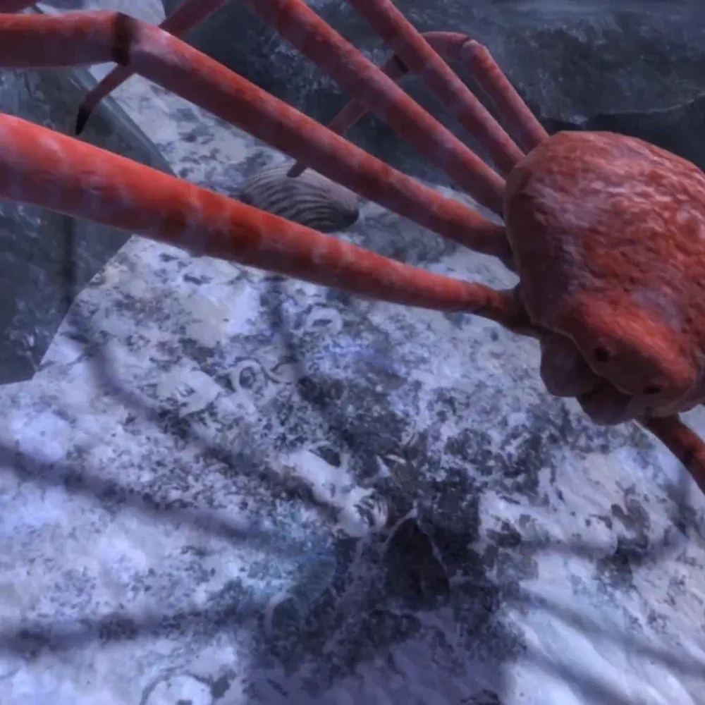 Ocean Rift - experienta VR pentru evenimente si activari, pe headset Meta Quest 3 - Evenimente360